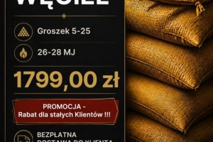 GROSZEK 26-28 MJ/KG - PALETA ZA 1799 ZŁ