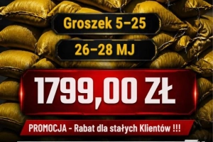 GROSZEK 26-28 MJ/KG - PALETA ZA 1799 ZŁ
